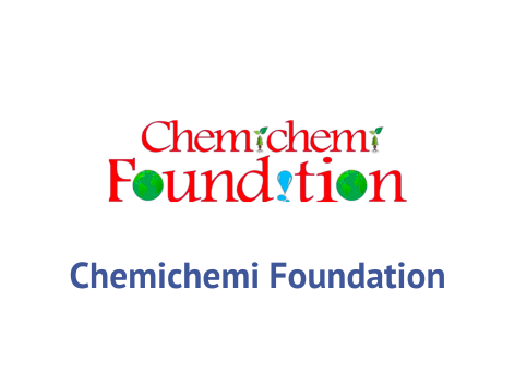 Chemichemi Foundation