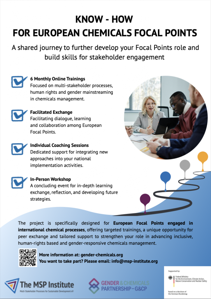 Training Flyer For European Chemicals Focal Points, June 2025