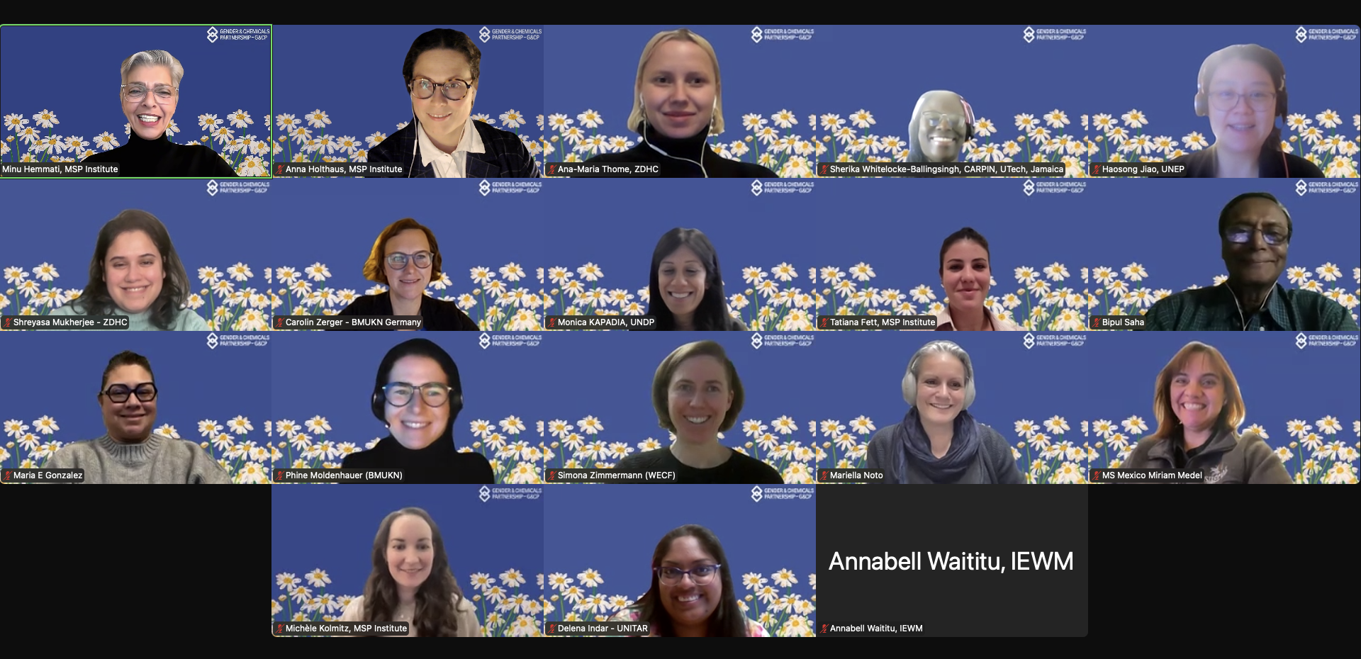 Brief Report: Second Assembly of the Gender & Chemicals Partnership
